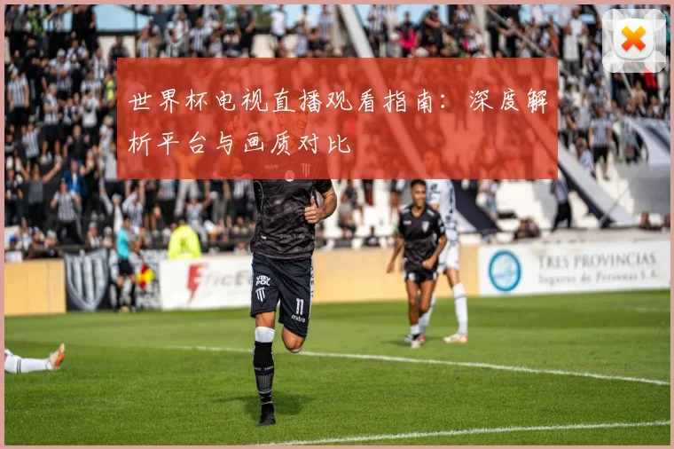 世界杯电视直播观看指南：深度解析平台与画质对比