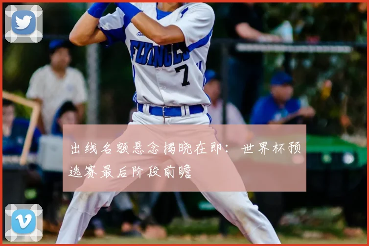 出线名额悬念揭晓在即：世界杯预选赛最后阶段前瞻